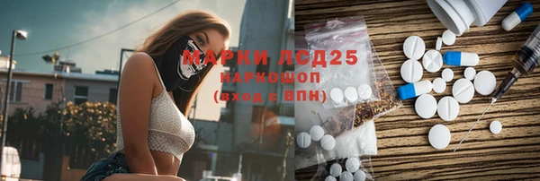 стафф Алзамай
