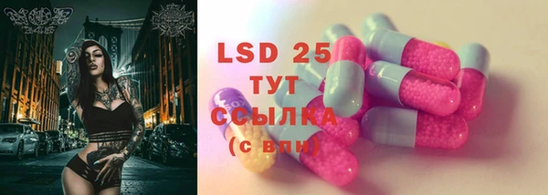 стафф Алзамай