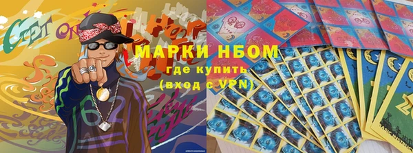 стафф Алзамай